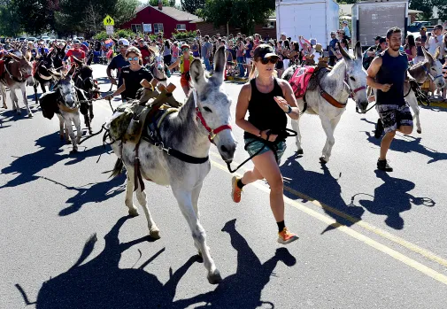 People racing burros in downtown Frederick on Miners Day in 2022. Miners Day is an annual event for Frederick to celebrate its mining heritage. This year, Miners Day will be on September 16 at Centennial Park. 
