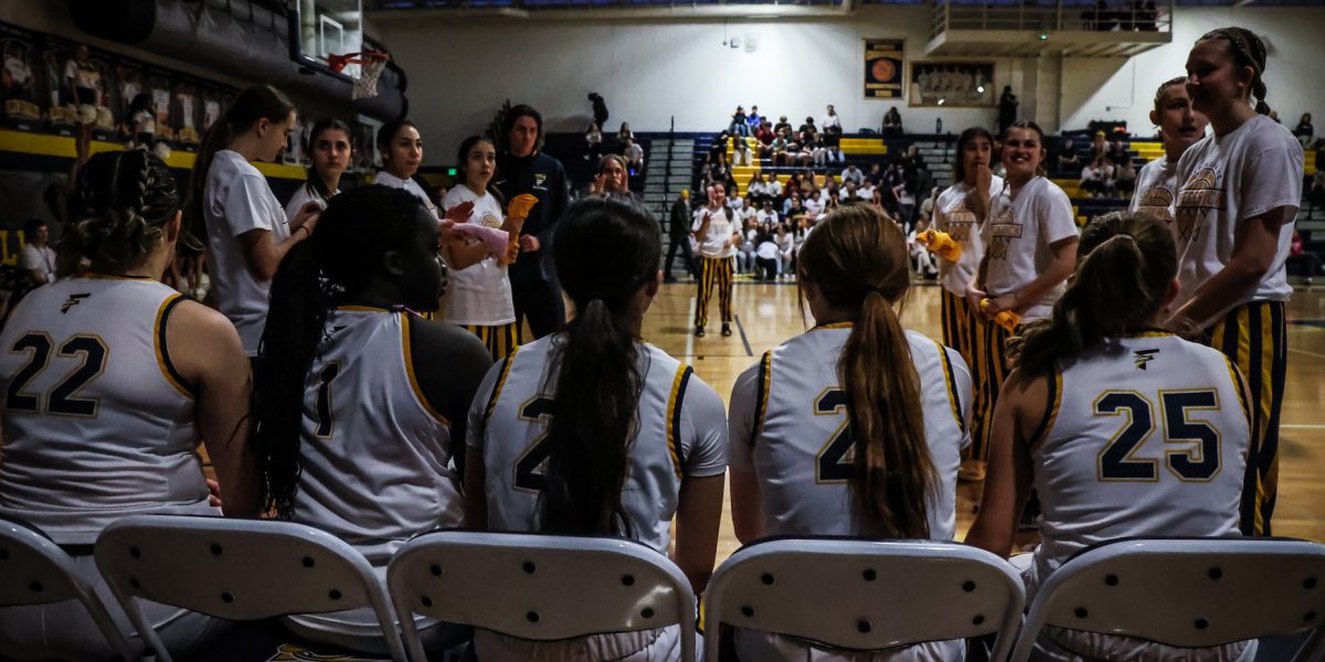 The girls basketball team has given their everything to get to where they are and wont give up their chance to advance to the final four. 