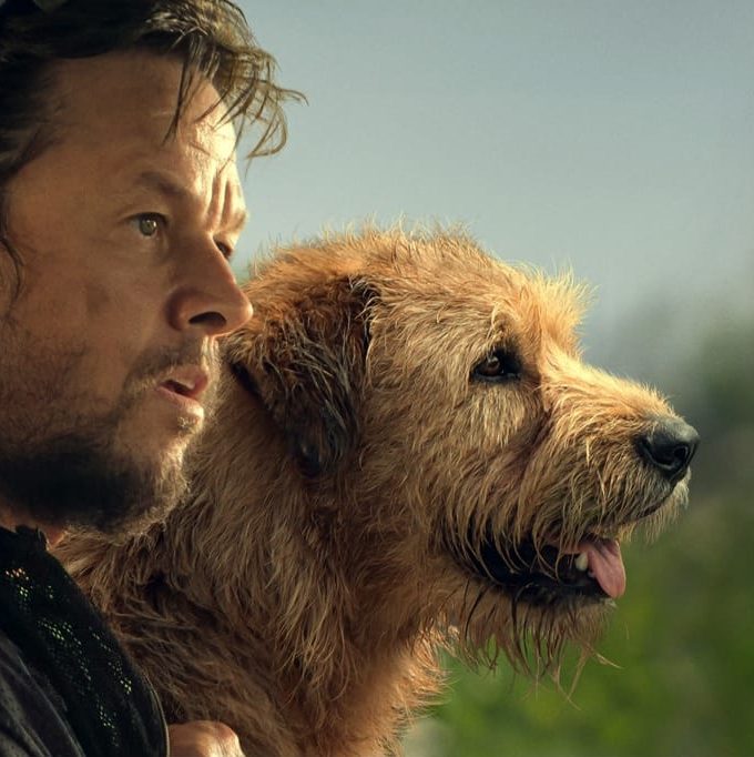 Main character Mikael Lindnord played by Mark Wahlberg and is his dog Arthur 