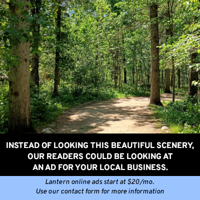 Promo A: Forest Scenery